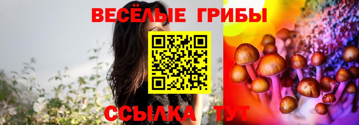 Чайковский  Псилоцибиновые грибы Psilocybine cubensis  Вход с VPN  Галлюциногенные грибы ЛСД 